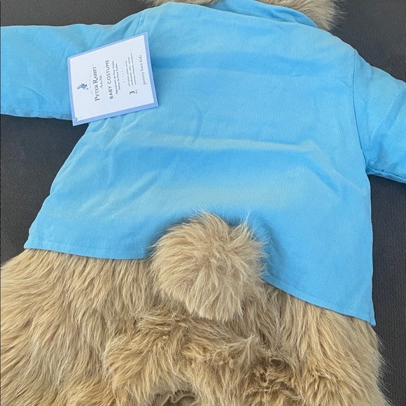 Peter Rabbit Costume - Picture 4 of 7